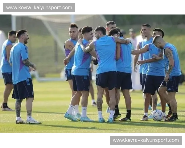 潘帕斯雄鹰的绝地反击：2014世界杯阿根廷vs尼日利亚，一场进球大战的传奇